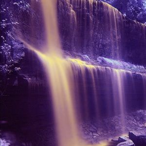 Meet your Posher, Liz